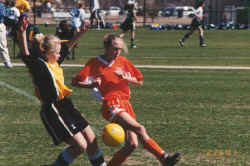 02-25-01-roll3-28.jpg (73513 bytes)